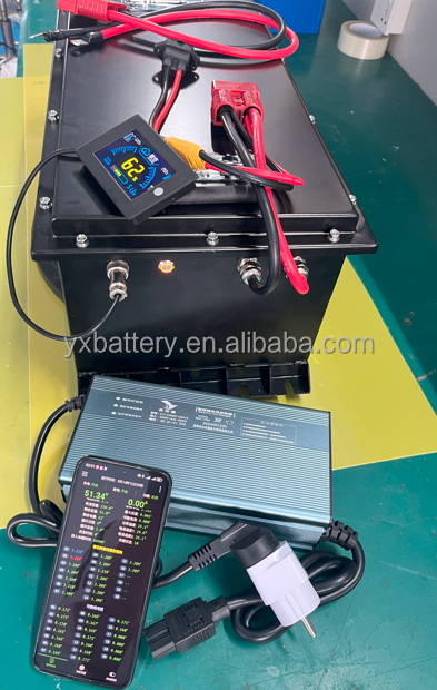 Batería Lifepo4 de 36v, 48v, 6 - 72V 60Ah Lifepo4 Battery Pack reseña y precio